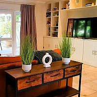 Wildolive Guest House Villa10