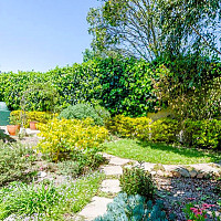 Wildolive Guest House Villa15